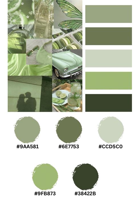 Green Pallete Purple Color Schemes Orange Color Palettes Color