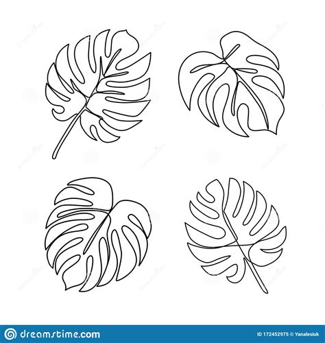 Continuous Line Monstera Leaf. Tropical Leaves Contour Drawing Stock Vector - Illustration of ...