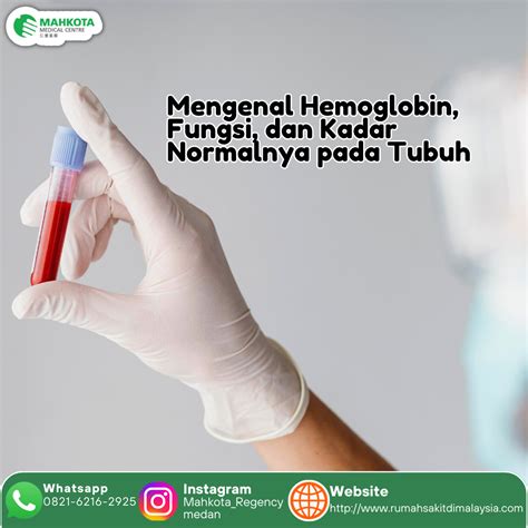 Mengenal Hemoglobin Fungsi Dan Kadar Normalnya Pada Tubuh