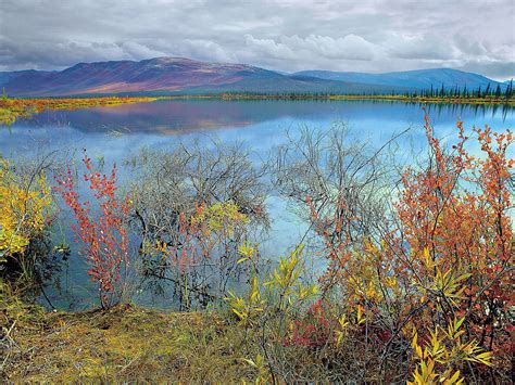 They are a wealth of we drove the arapaho national wildlife refuge auto tour road, a 6 mile dirt loop road. Feds finalize plan to open Alaska wildlife refuge to ...