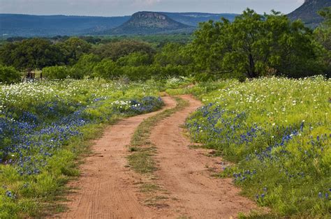 Top Kid Friendly Things To Do In The Texas Hill Country