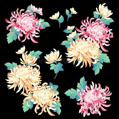 Japanese Style Chrysanthemum Illustration Stock Vector Illustration