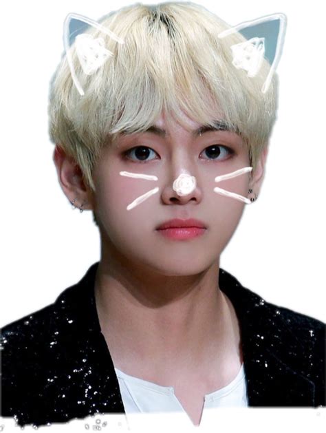 Cute babies, puppies or kittens. What are the cutest pictures of BTS Kim Taehyung (V)? - Quora