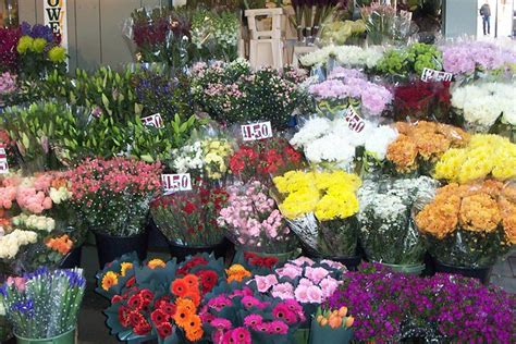 Florists Norwich Market Incessant Flux Flickr