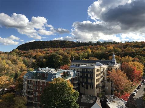 Mont Royal - 14 Oct 2020 : montreal