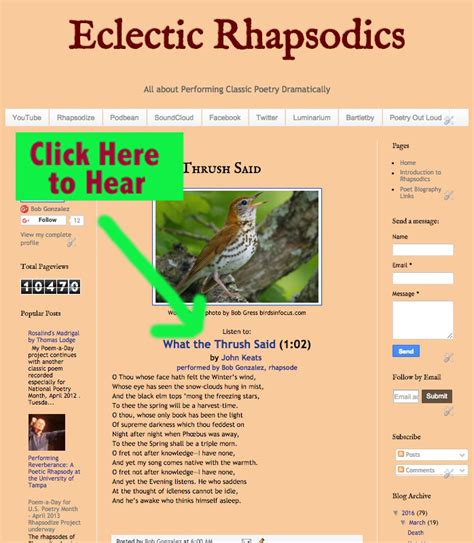 Eclectic Rhapsodics Welcome And Helpful Instructions