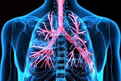 Las 11 Enfermedades Respiratorias Más Comunes Causas Y Síntomas