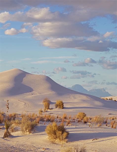 Sand Dune White Sands Nm New Mexico Photograph By Tim Fitzharris