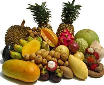 Buah buahan tempatan mari mengenal buah buahan. Anim Agro Technology: BUAH POPULAR DI MALAYSIA (Part 6)