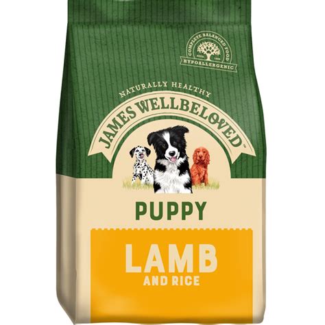 James Wellbeloved Lamb Puppy Various Sizes Bespoke Blooms By Maybury