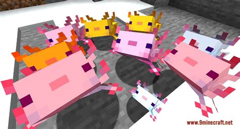 Axolotl, warden, goats and glow squid.⦿ important. Minecraft 1.17 Snapshot 20w51a (Axolotls are The Cutest ...