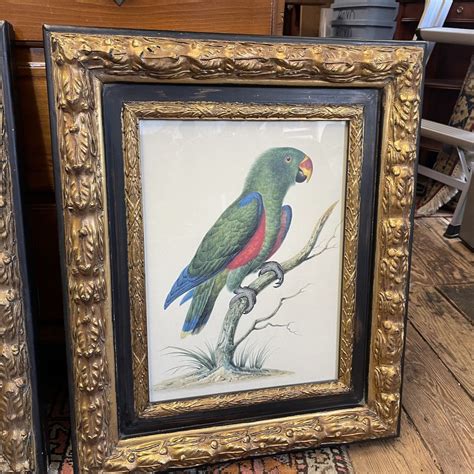 Pair Of Framed Bird Prints Boyds Antiques