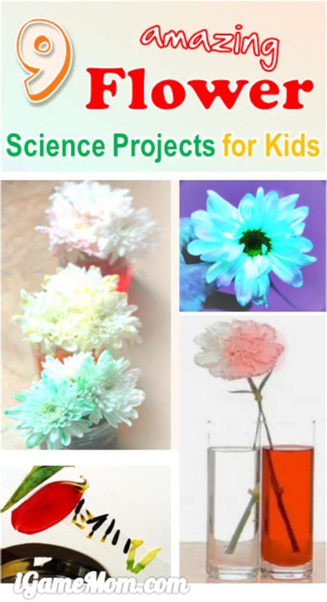 9 Amazing Flower Science Projects For Kids
