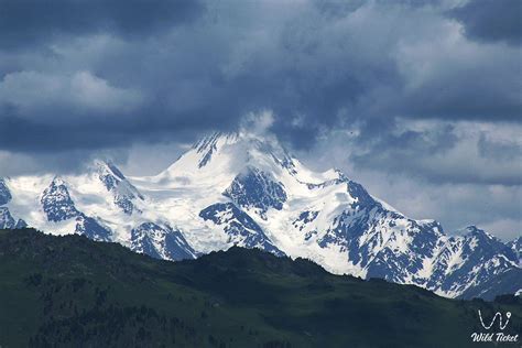 Kazakhstan Altay Mountain Region In East Kazakhstan Wildticket Asia