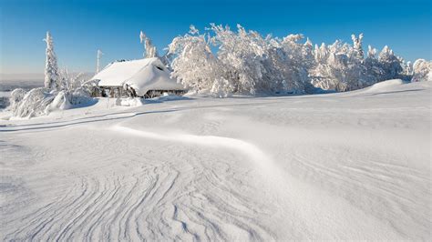 Wallpaper Trees Building Snow Vehicle Ice Arctic Alps Freezing