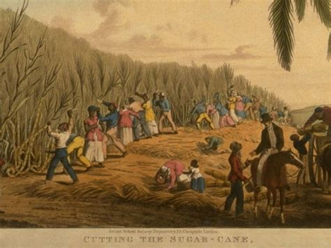 Slavery In The Caribbean National Museums Liverpool