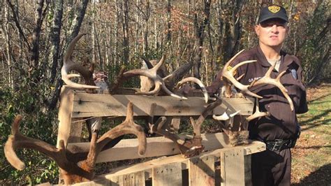 Deer Killings Under Investigation In West Virginia County