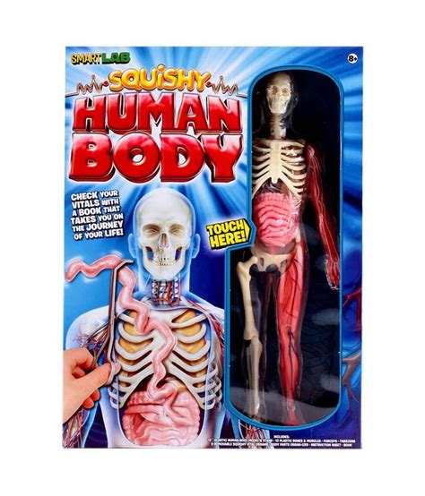 Smartlab Squishy Human Body - Buy Smartlab Squishy Human Body Online at Low Price - Snapdeal