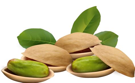 Pistachio Png File Png All Png All