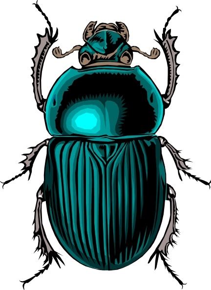 Beetle Bug Clip Art Vectors Graphic Art Designs In Editable Ai Eps