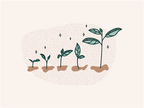 Personal Growth Illustration By Lauren X Lee On Dribbble