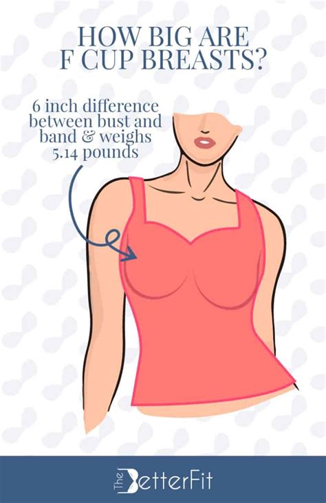 F Cup Size Bra And Breasts Ultimate Guide TheBetterFit