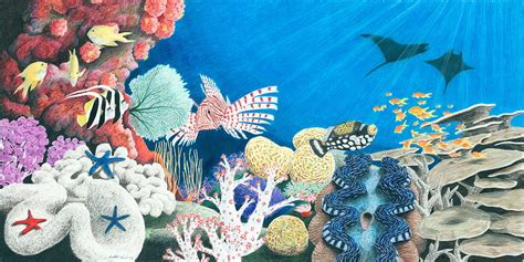 Check spelling or type a new query. Underwater Rainbow Drawing by Heather Ward