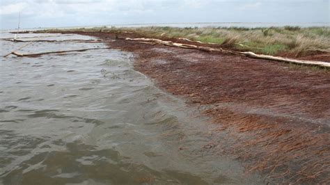 The 2010 Deepwater Horizon Oil Spill Caused Widespread Land Erosion In