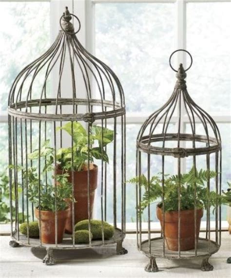 Using Bird Cages For Decor 46 Beautiful Ideas Digsdigs Small Bird