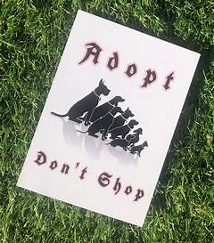 Adopt Don T Shop Free Pets In Dallas Deserve Your Love