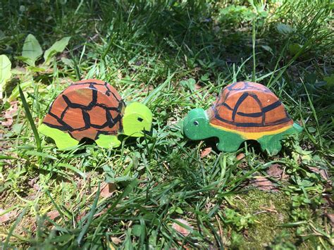 Wooden Turtle Toys Child Toy Set 2 Piece Wooden Toy Set Etsy Toy