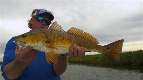 Delacroix Louisiana Inshore Sight Fishing For Redfish Youtube