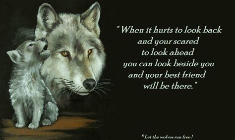 Wolf Spirit Quotes