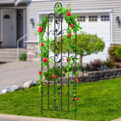 Black Metal Garden Trellis