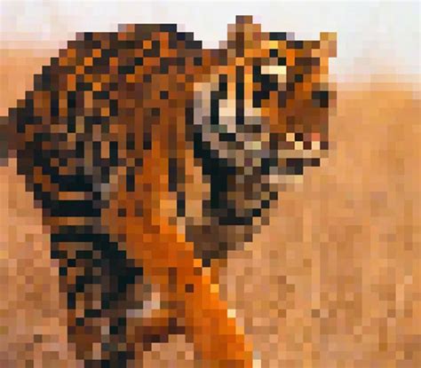 Every Pixel Is One Animal The More Pixelated The Image The Closer It
