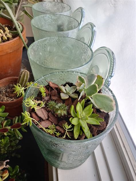 Green-Thumb-Gardening - Steamboat Creates