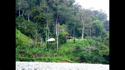 Journey To The Naso Indigenous People Teribe Tribe Bocas Del Toro