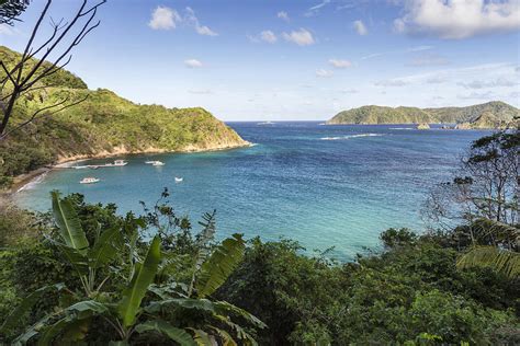 Batteaux Bay And Little Tobago Island Photograph By Hugh Stickney