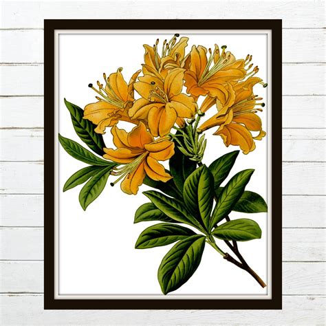 Lilly Printable - Lilies Printable - Yellow Lilly - Lilly Flowers - Floral Printable - Printable ...