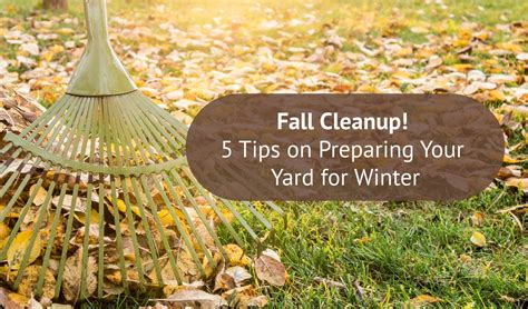 Fall Cleanup 5 Tips On Preparing Your Yard For Winter Vavia