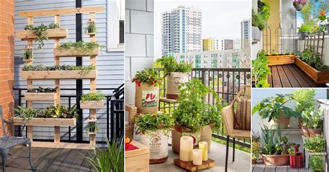 Balcony Gardens That Teach Grow More In Less Space