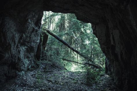 Exit To The Forest From Dark Rocky Cave Stock Photo Image Of Cavern