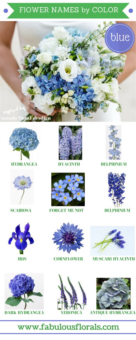 Blue Flower Names And Pictures Icon