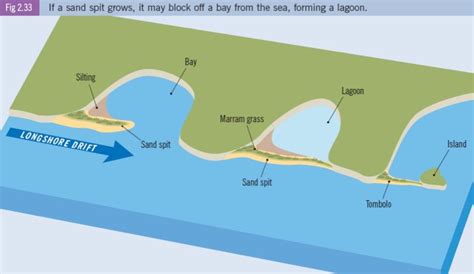 Lagoon Diagram
