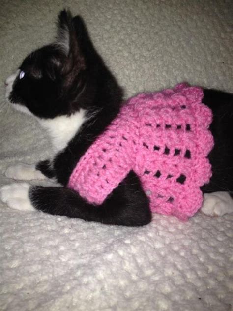 35 Easy Crochet Cat Sweater Pattern Information · Liloe