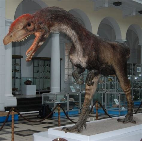 Palaeoblog Warsaw Dinosaurs