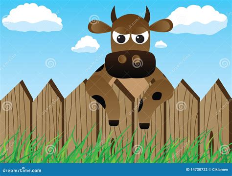 Cow Over The Fence Stock Photography Image 14730722