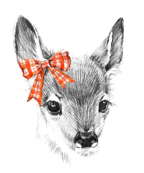 Cute Deer Pencil Sketch Of Fawn Digital Art By Faenkova Elena Fine