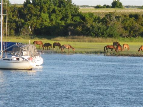 Secluded Beaufort Waterfront Pet Friendly Beaufort Nc Vacation