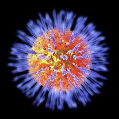 Herpes Virus Photograph By Alfred Pasiekascience Photo Library